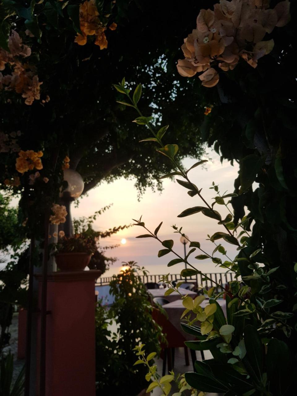 Bed and Breakfast San Carlo - Terrazzo Sul Mare Con Ristorante E Pizzeria Zambrone Zewnętrze zdjęcie