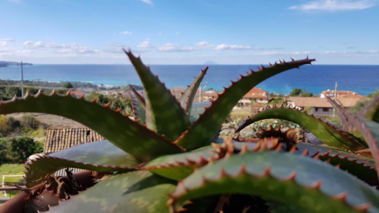 Bed and Breakfast San Carlo - Terrazzo Sul Mare Con Ristorante E Pizzeria Zambrone Zewnętrze zdjęcie